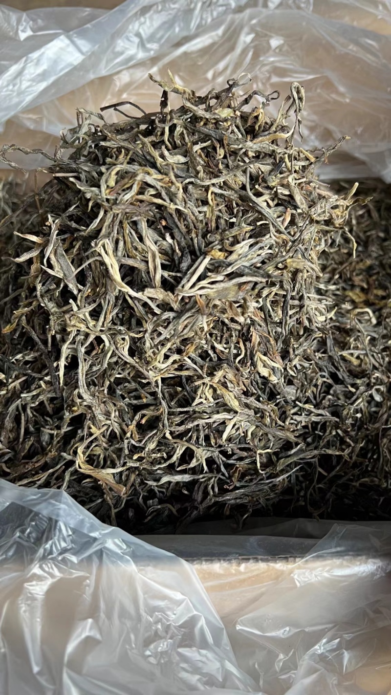 普洱茶批发新趋势：如何把握市场机遇