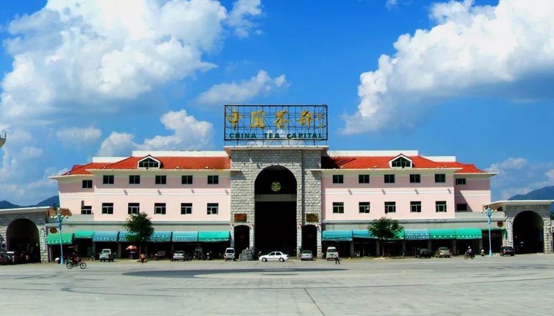 洞察茶叶批发市场的新趋势